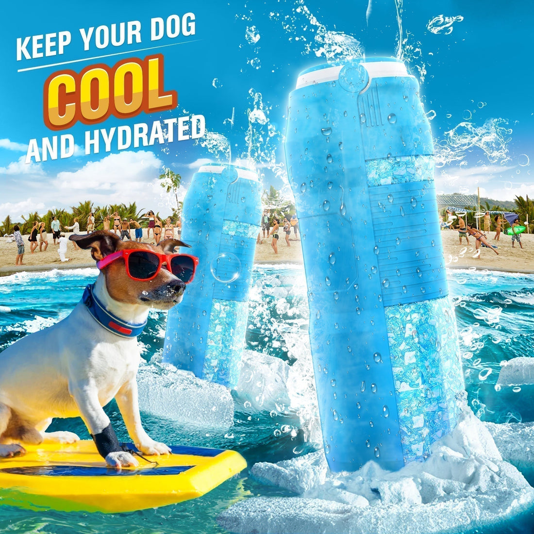 Best Portable Dog Water Bottles for Walks, Travel & Outdoor Adventures