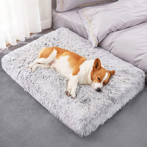 The Ultimate Guide to Plush Washable Dog Beds: Why Your Pet Deserves the Best