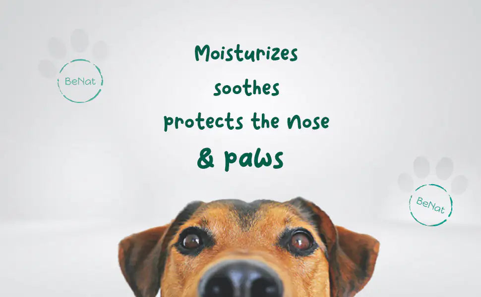 Paws & Snouts Natural Balm, 0.9 oz
