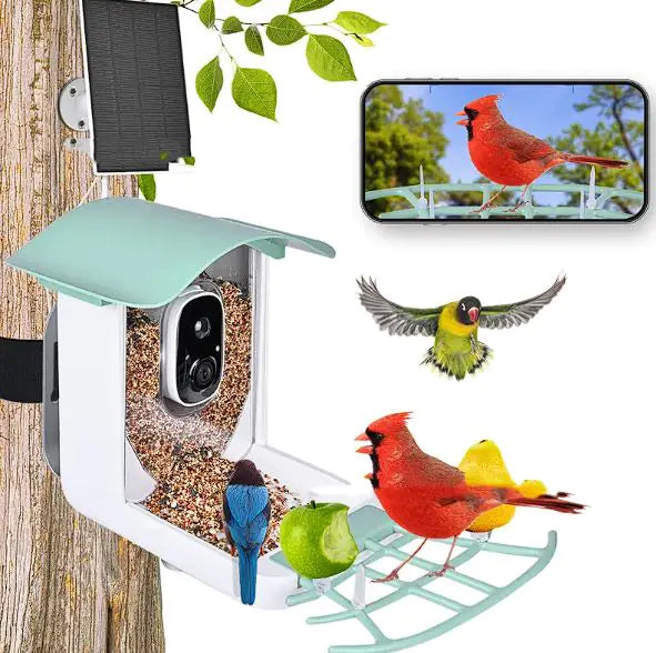 🐤 Solar Smart Bird Feeder – Eco-Friendly Birdwatching with a View