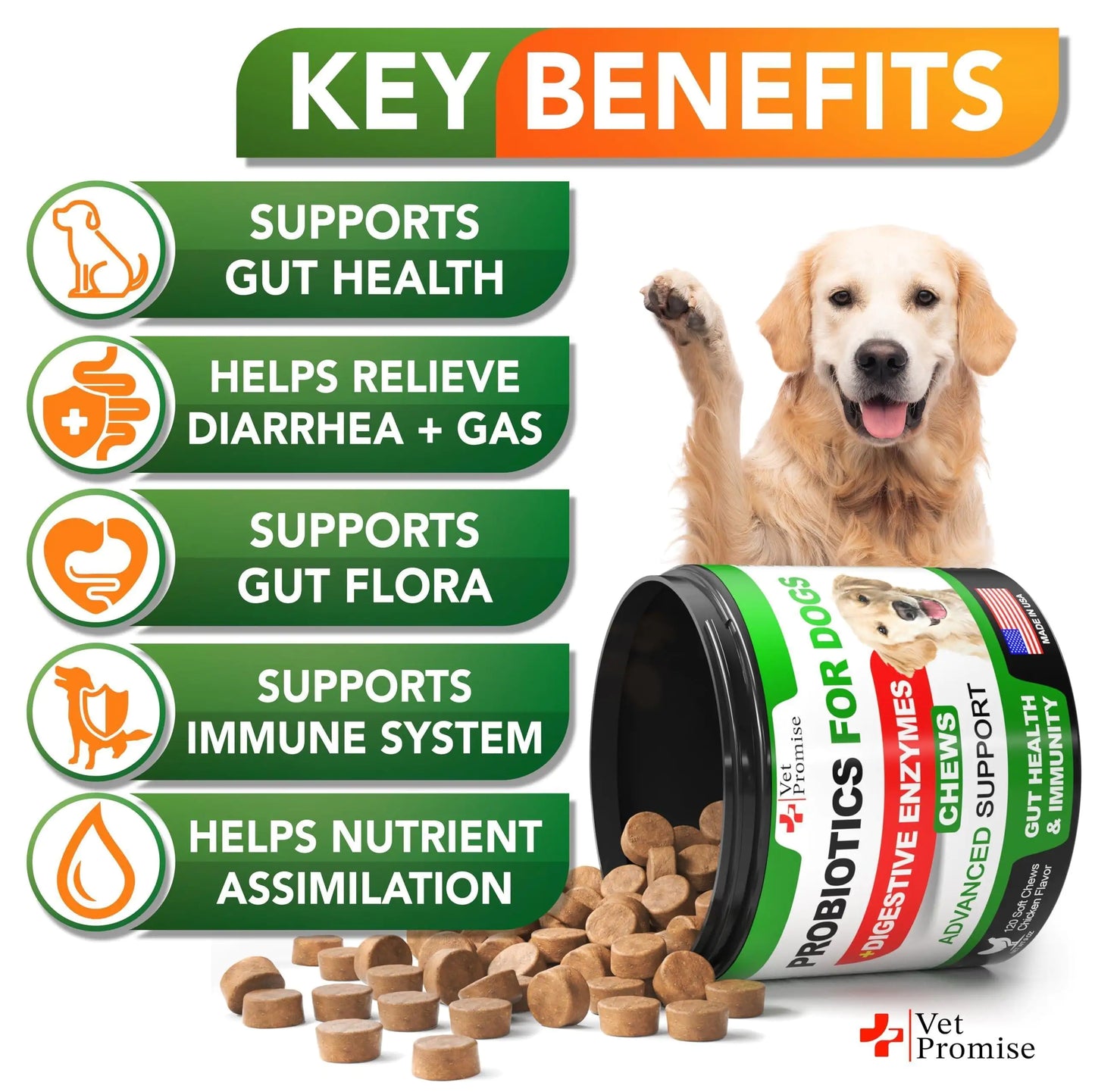 Dog Probiotic Chews โ Digestive & Skin Health Support ๐ถ๐