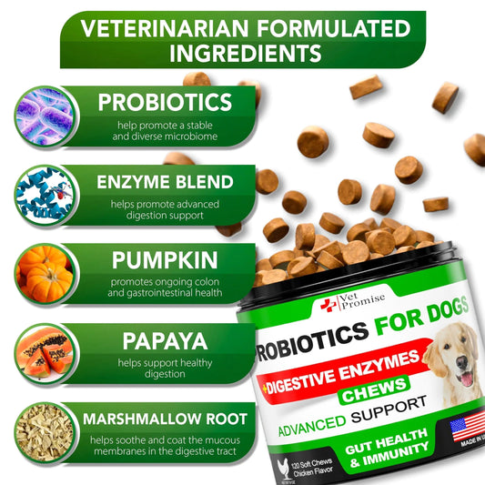 Dog Probiotic Chews – Digestive & Skin Health Support 🐶💊