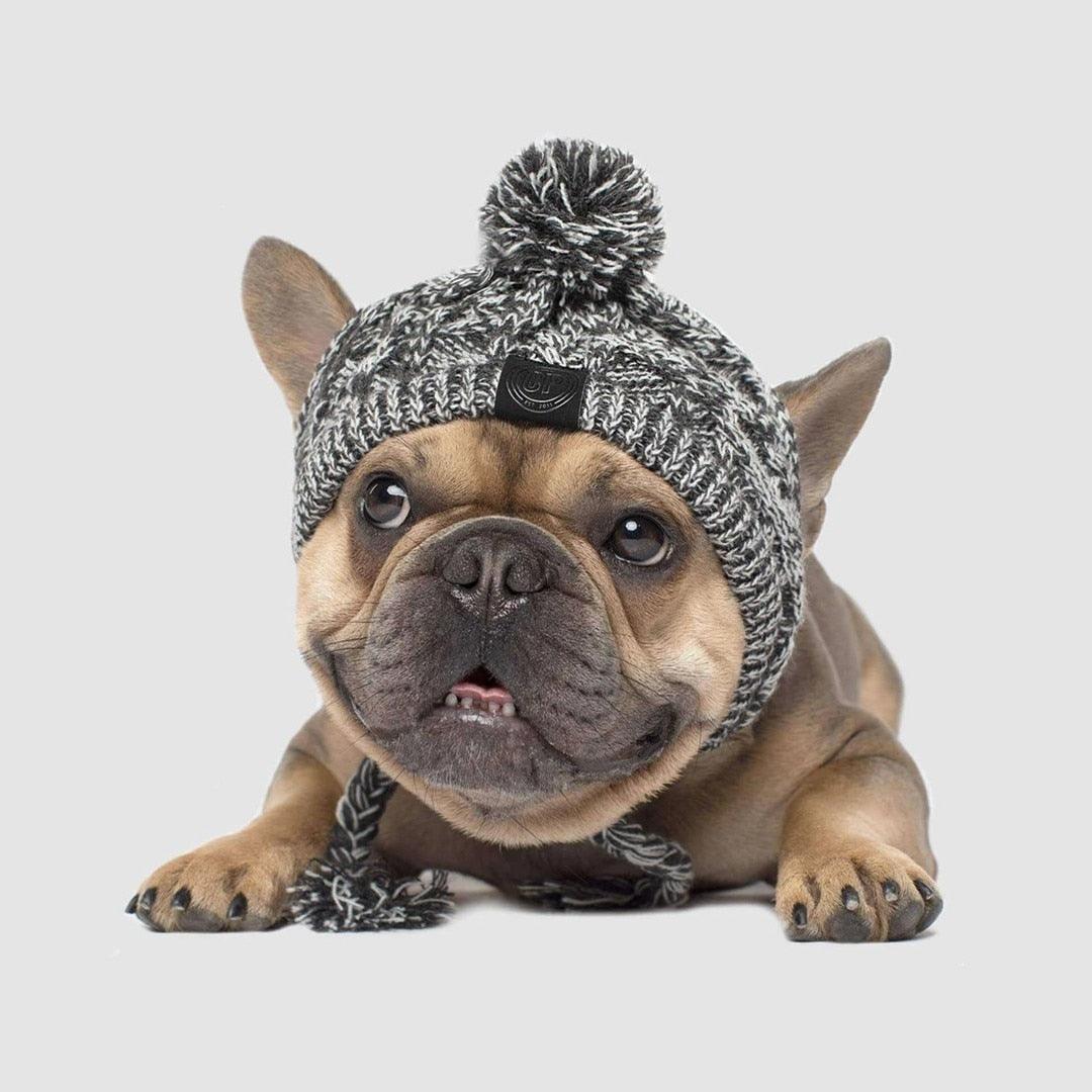 Fluffy Polar Pom Knitted Dog Hat - Winter Fashion Statement-4