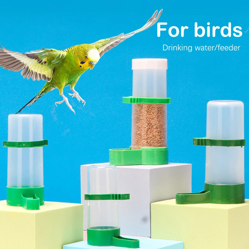 Automatic Bird Feeder & Water Drinker β 2-in-1 Design for Backyard Birds π¦πΏ