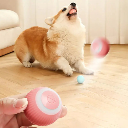 Electric Pet Ball Toy for Dogs & Cats β‘πΎ | Smart Interactive Fun