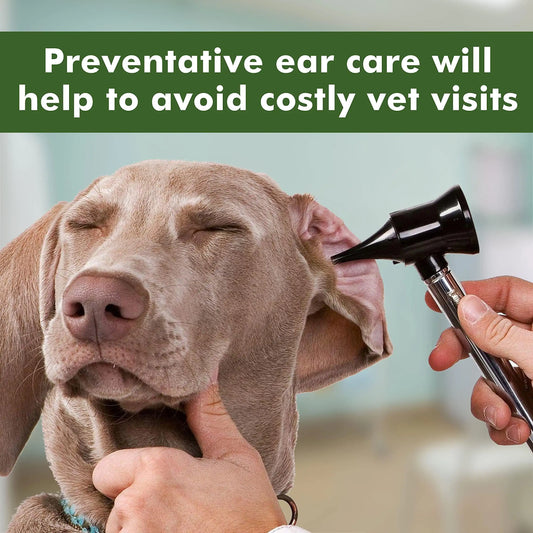 Pet Ear Cleaner Wipes β 100 Count for Dogs & Cats πΆπ±