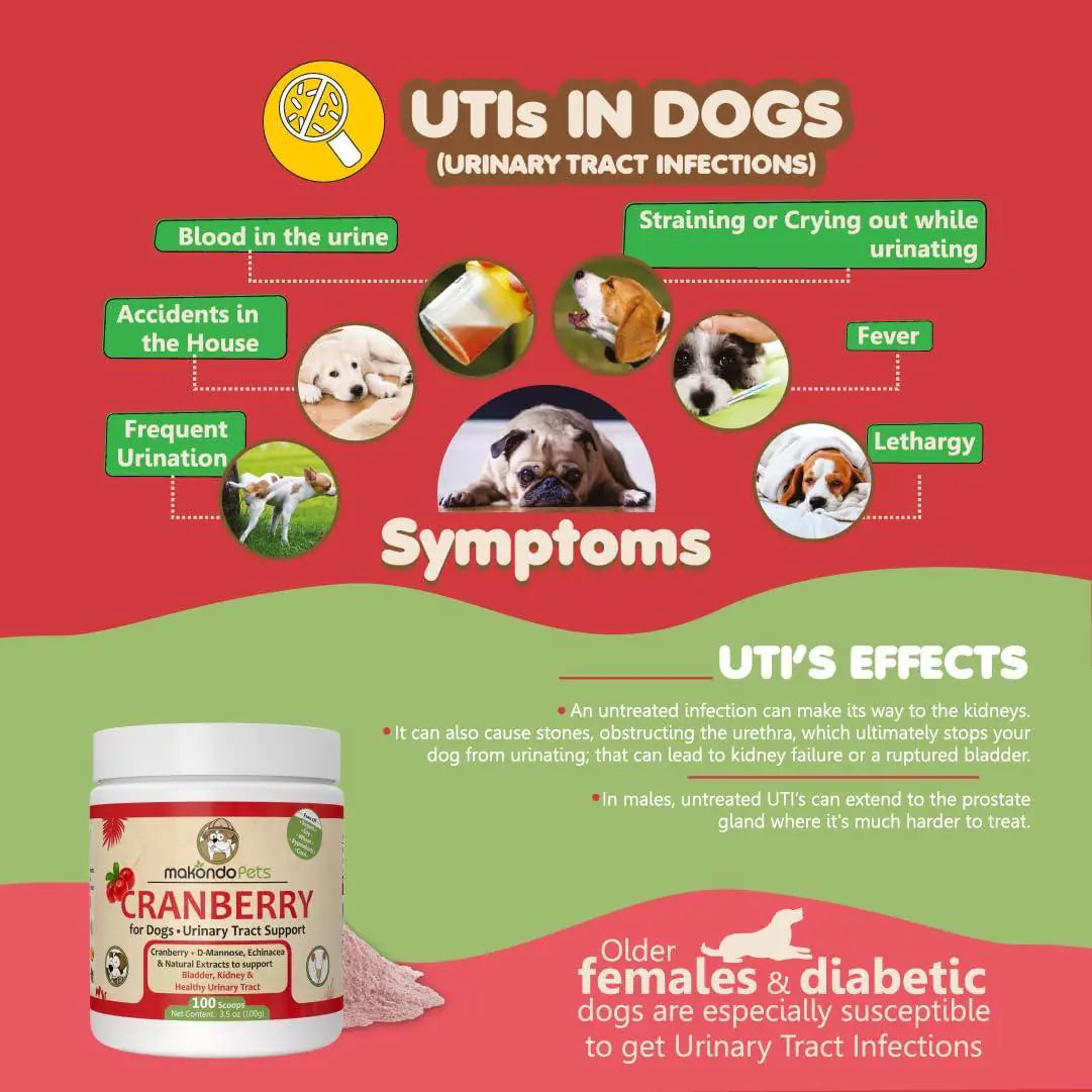 Dog UTI & Kidney Support Chews.