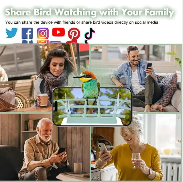 🐤 Solar Smart Bird Feeder – Eco-Friendly Birdwatching with a View
