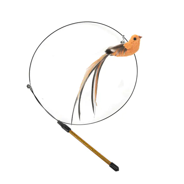 Bird Toys for Cats 🐦🐾 | Interactive Fun for Curious Kitties