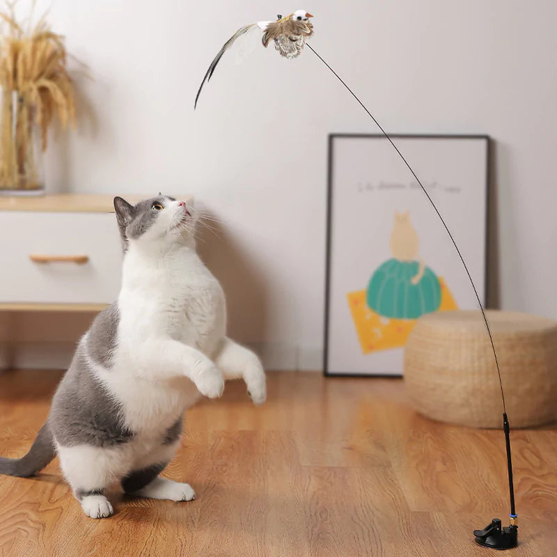 Bird Toys for Cats 🐦🐾 | Interactive Fun for Curious Kitties