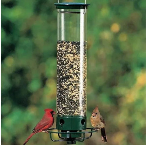 Squirrel-Proof Hanging Bird Feeder – Automatic Seed Flow Design 🌰🛡️