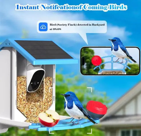 🐦 Smart Bird Feeder with Camera – Watch Your Feathered Friends Up Close