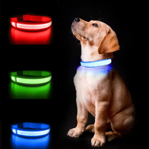 π Luminous AirTag Collar β Keep Your Pet Safe, Seen & Secure!