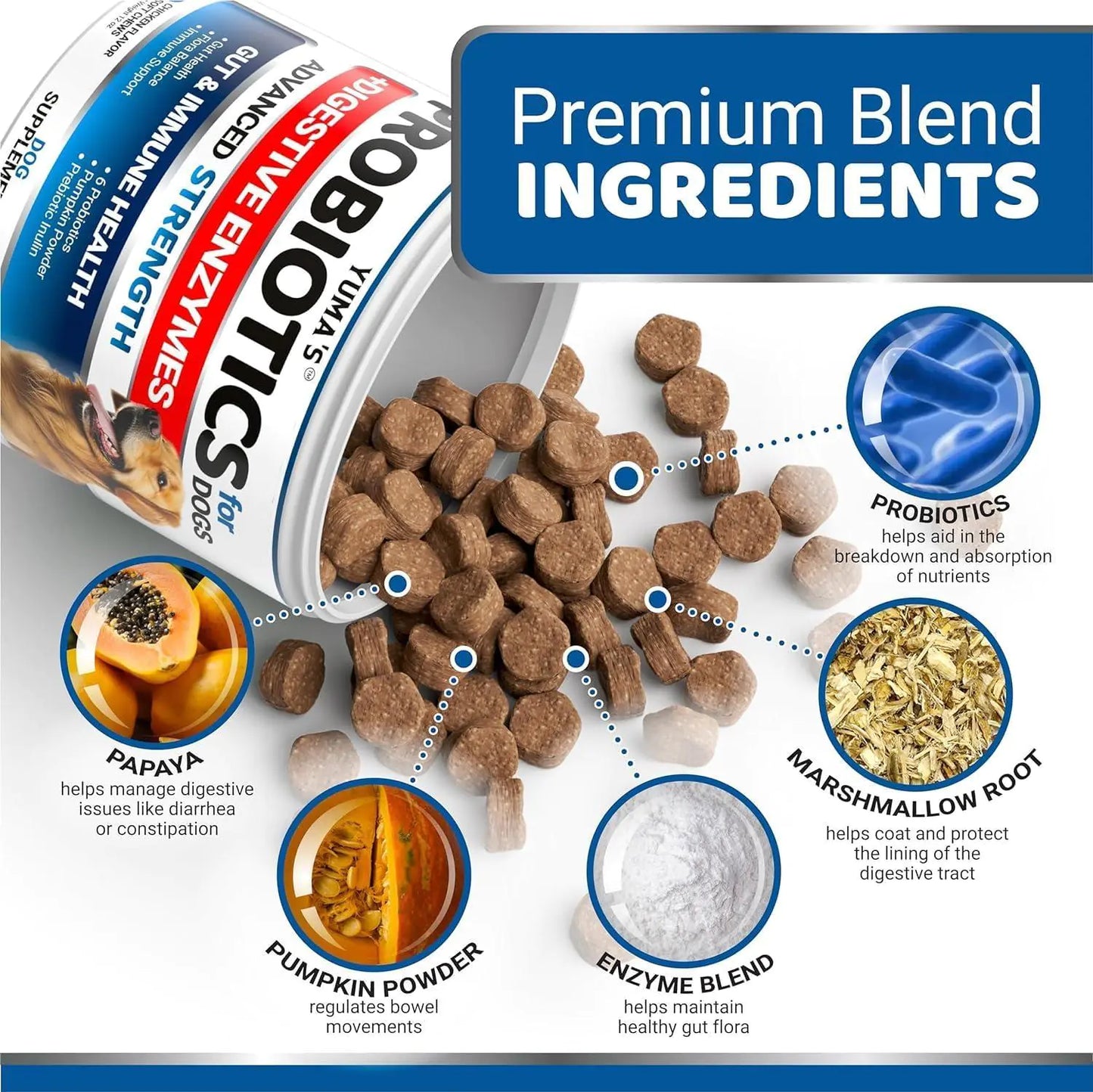 2 Pack Probiotics Digestive Enzymes Dog Probiotics Treats 340 Chews