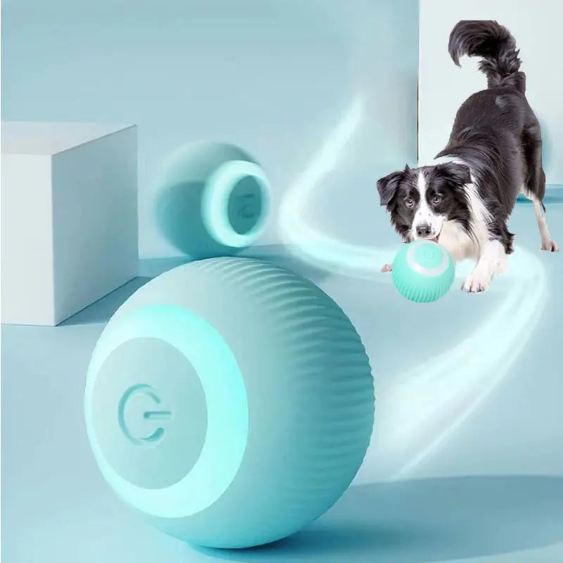 Electric Pet Ball Toy for Dogs & Cats ⚡🐾 | Smart Interactive Fun