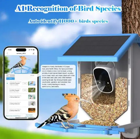 🐦 Smart Bird Feeder with Camera – Watch Your Feathered Friends Up Close