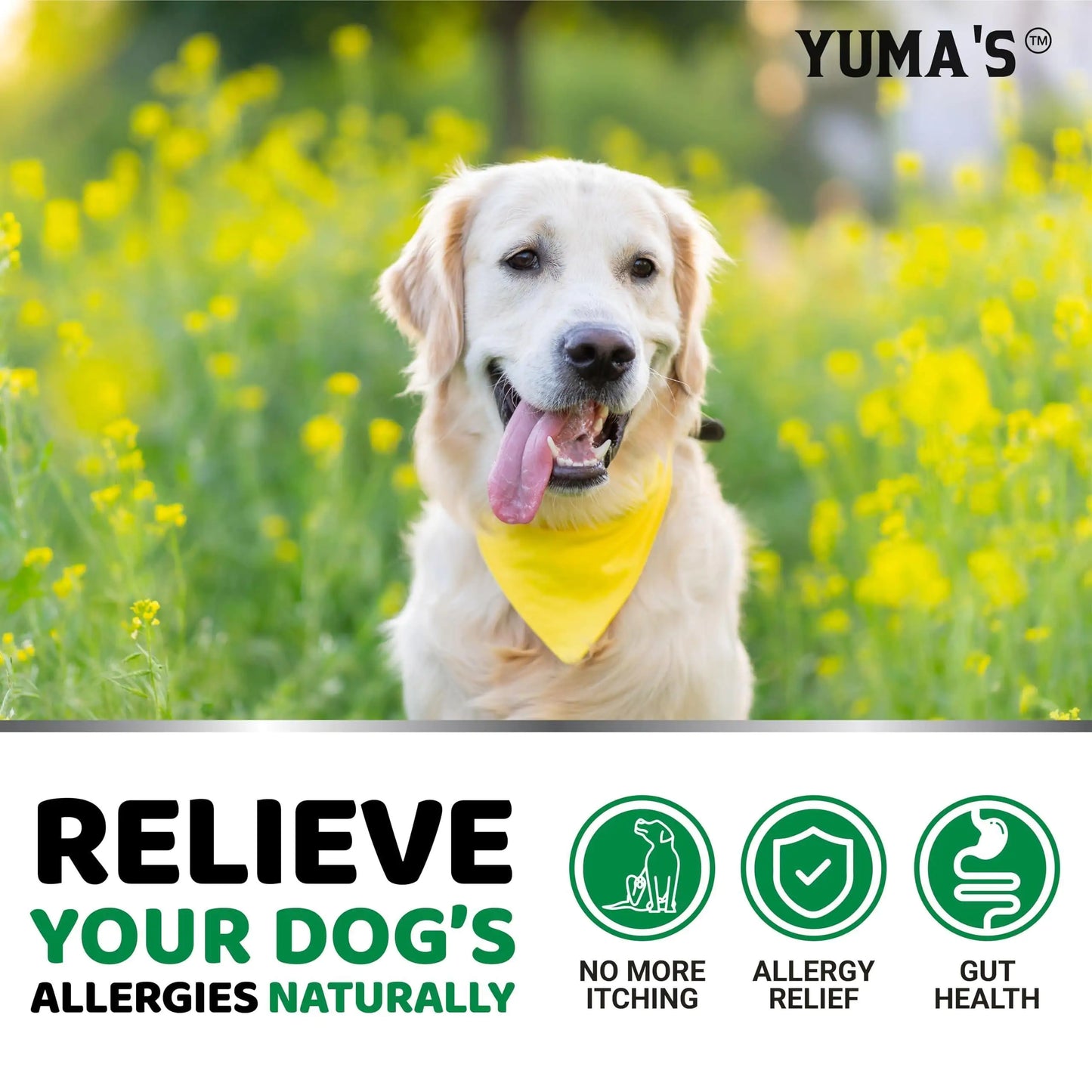 Dog Itch & Allergy Relief Treats