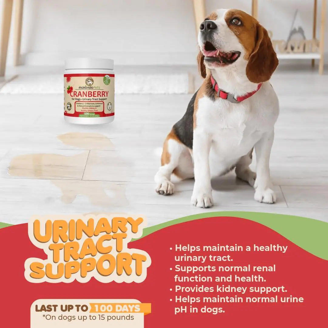 Dog UTI & Kidney Support Chews.
