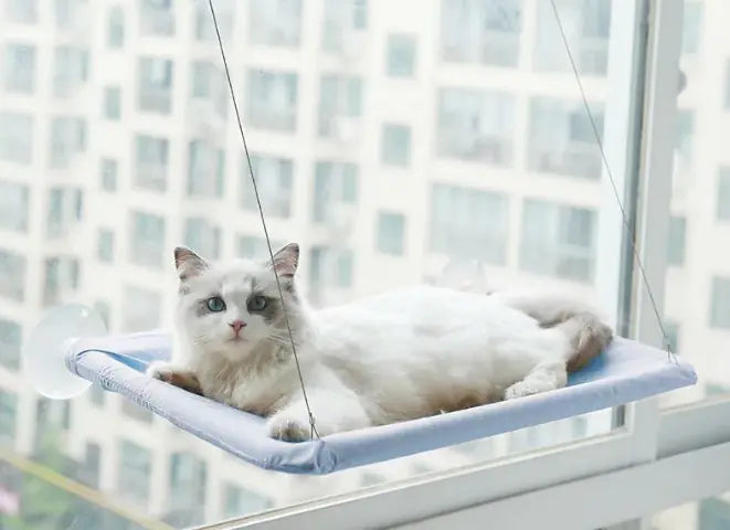 🛏️ Cat Window Hammock | Window Perch for Sunbathing 🐾