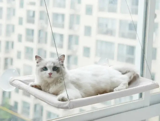 🛏️ Cat Window Hammock | Window Perch for Sunbathing 🐾