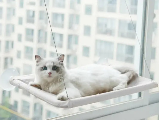 ποΈ Cat Window Hammock | Window Perch for Sunbathing πΎ