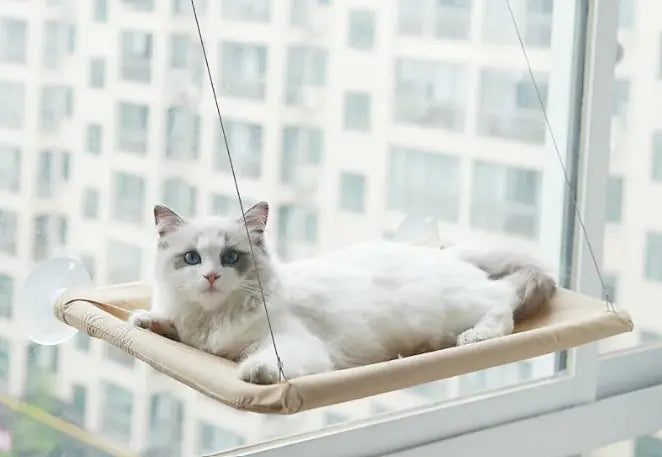 🛏️ Cat Window Hammock | Window Perch for Sunbathing 🐾