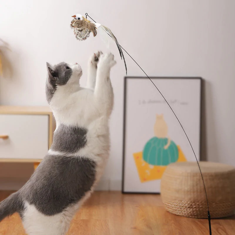 Bird Toys for Cats 🐦🐾 | Interactive Fun for Curious Kitties