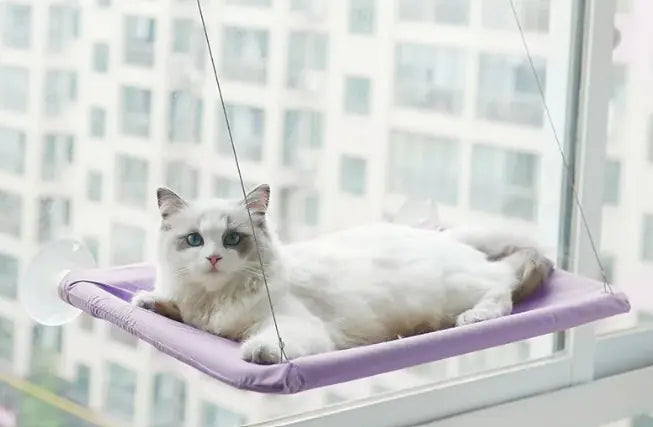 🛏️ Cat Window Hammock | Window Perch for Sunbathing 🐾