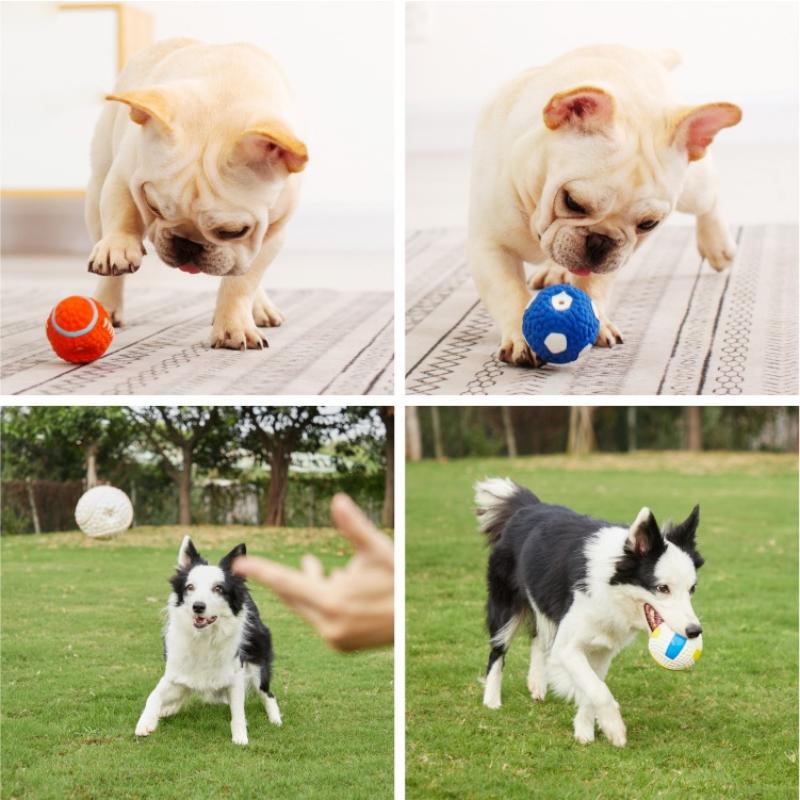Squeaky Dog Toys – Soft, Chewable & Fun for Playful Pups 🐾🧸