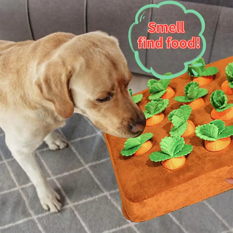 Pet Plush Food Toys ā Fun & Interactive Chew Toys for Dogs šš¾