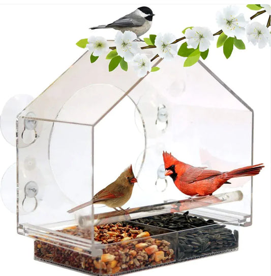 Smart Bird Feeder β Durable, Easy-Clean Design for Happy Birds π¦πΏ