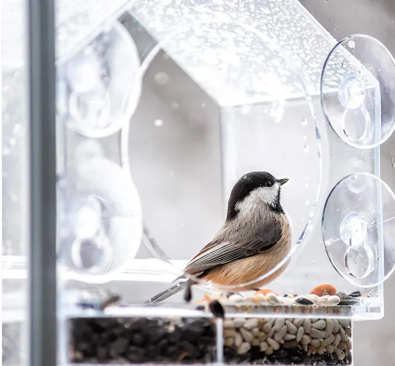 Smart Bird Feeder – Durable, Easy-Clean Design for Happy Birds 🐦🌿