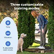 PetSafe Basic Dog Trainer with Remote