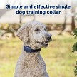 PetSafe Basic Dog Trainer with Remote