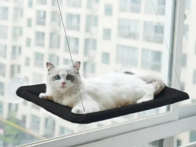 🛏️ Cat Window Hammock | Window Perch for Sunbathing 🐾