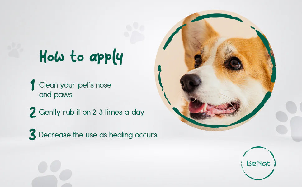 Paws & Snouts Natural Balm, 0.9 oz