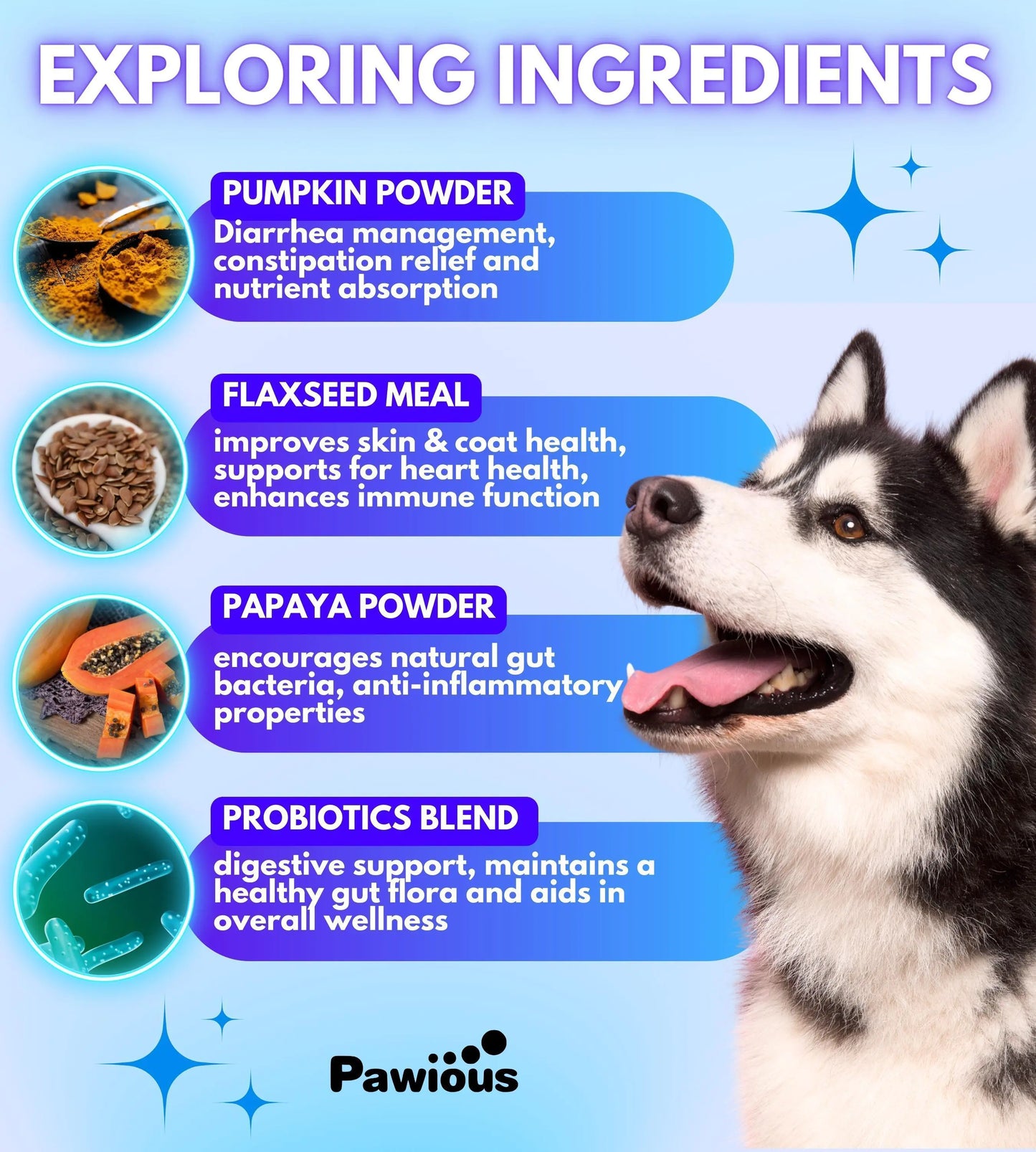Dog Probiotics & Digestive Enzymes – Gut & Immune Support