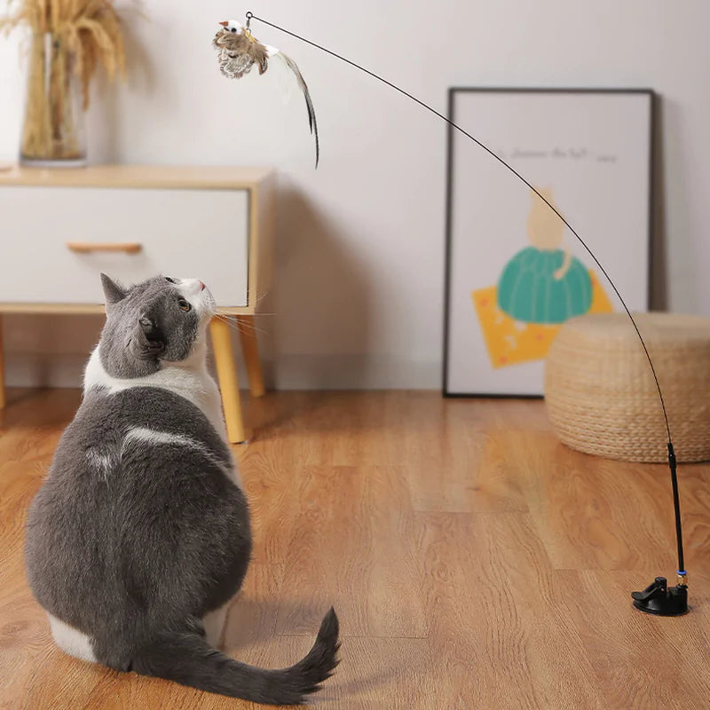 Bird Toys for Cats 🐦🐾 | Interactive Fun for Curious Kitties