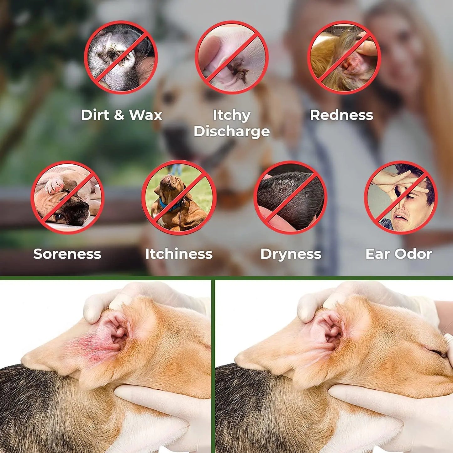 Pet Ear Cleaner Wipes – 100 Count for Dogs & Cats 🐶🐱