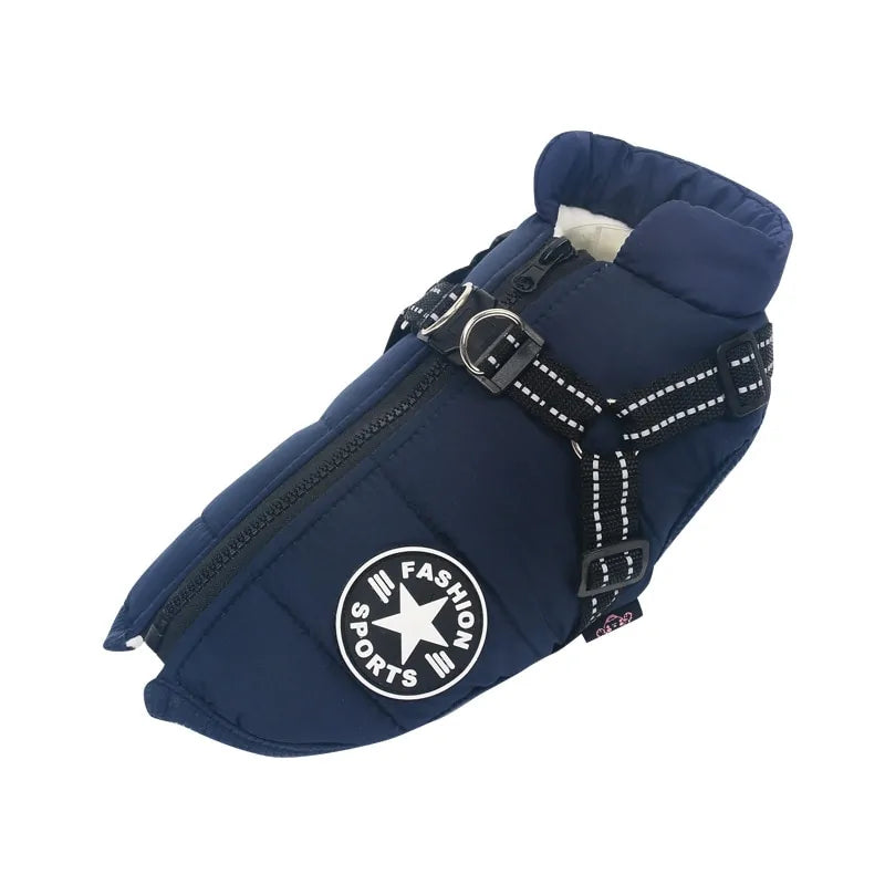 Pet Apparel & Accessories