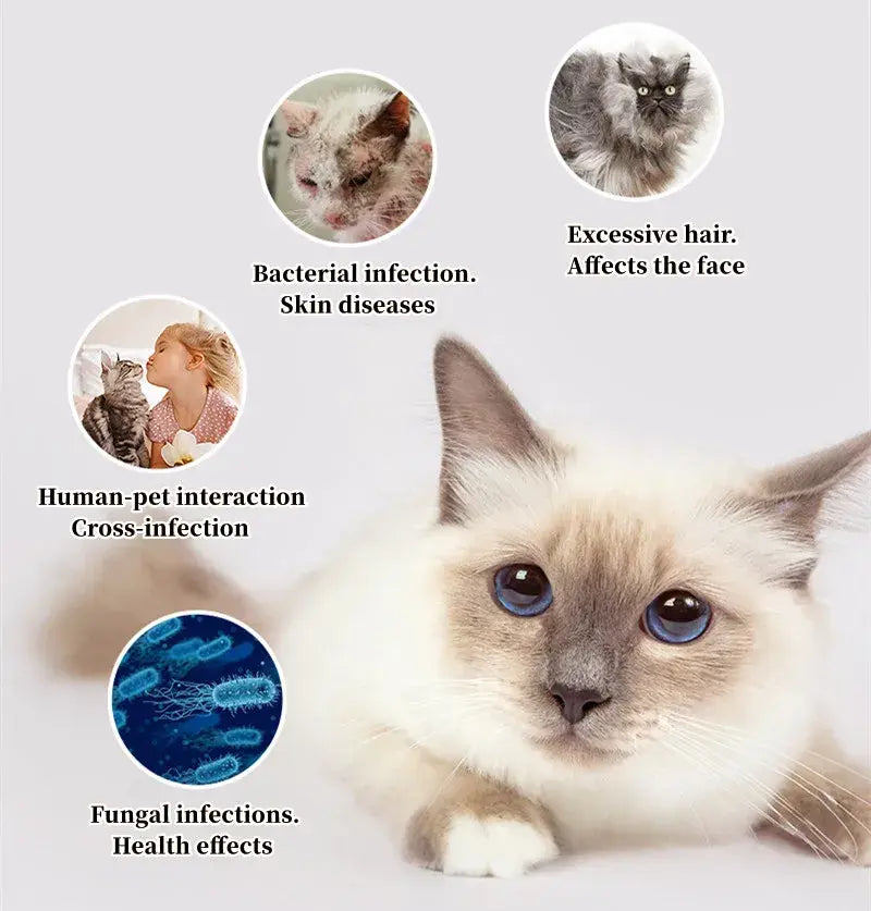 Pet Nest: Your One-Stop Shop for Premium Pet Supplies