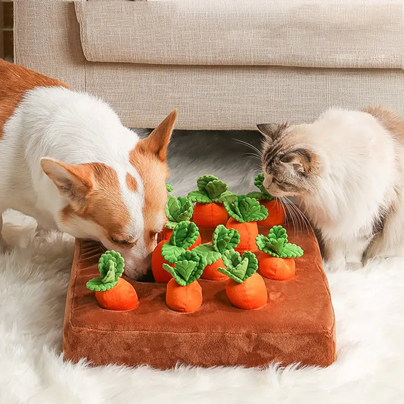 Pet Plush Food Toys – Fun & Interactive Chew Toys for Dogs 🍔🐾