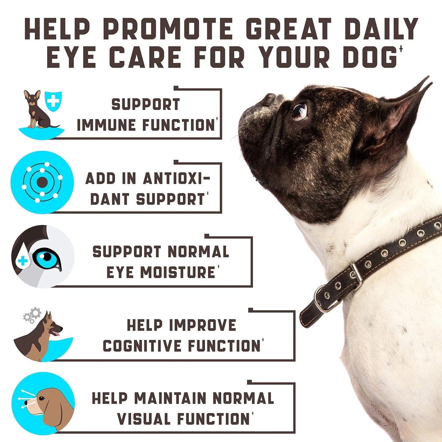 Vision & Eye Care Supplement for Dogs
